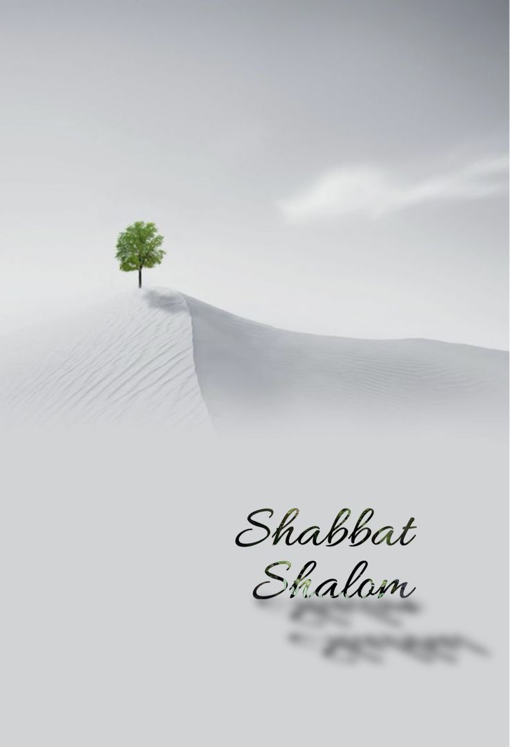 a tree on top of a hill with the words shabbat elahm written below it