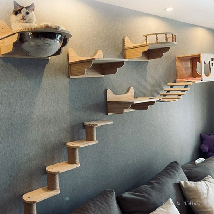 a cat sitting on top of a wooden shelf next to a wall filled with shelves