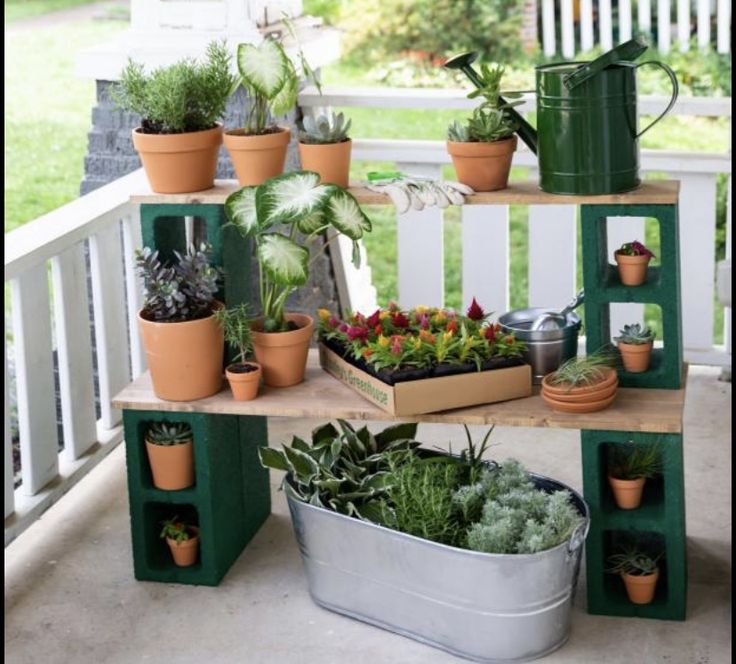 several potted plants are arranged on the porch