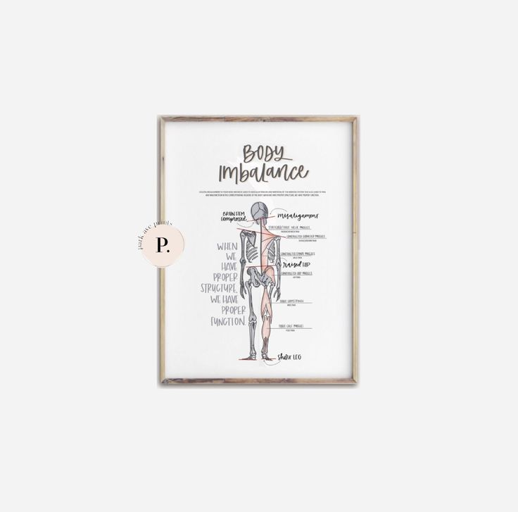 an illustrated diagram of the human body in a wooden frame on a white wall with a black circle around it