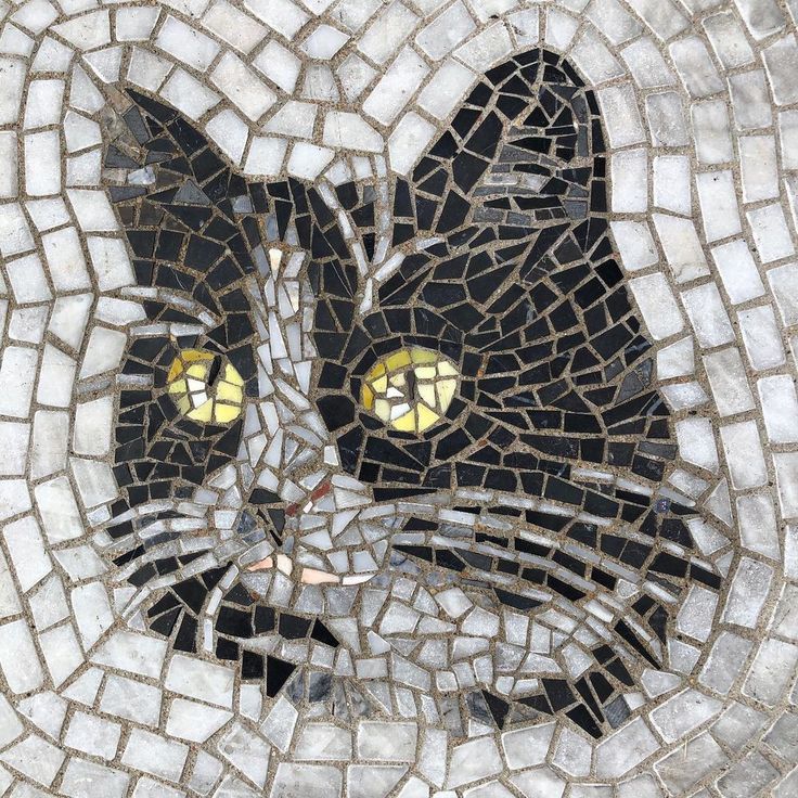 a black and white cat with yellow eyes on a cobblestone floor in the shape of a face