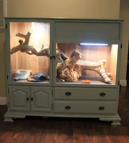 a cabinet with some animals in it on top of a hard wood floor next to a wall