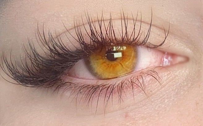 Honey Eyes, Hazel Green Eyes, Beautiful Eyes Color, Amber Eyes, Aesthetic Eyes, Gorgeous Eyes, Yellow Eyes, Hazel Eyes, Long Lashes