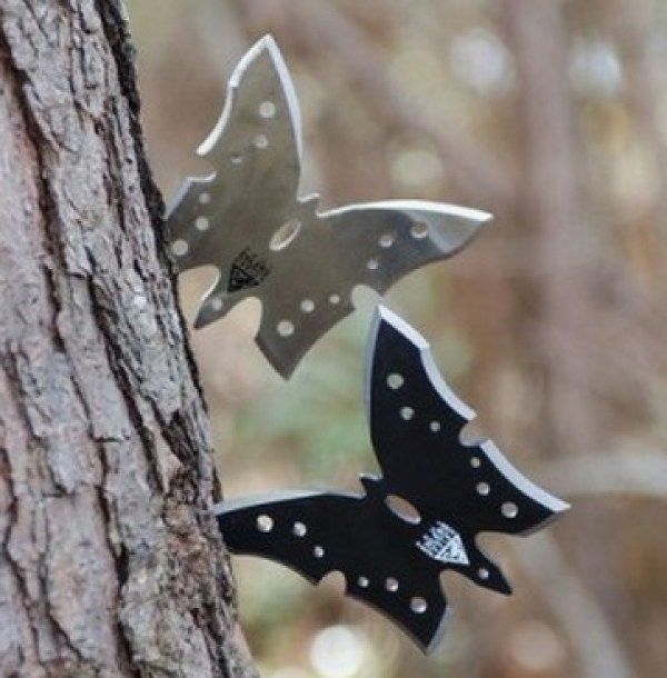 two butterflies are attached to the bark of a tree