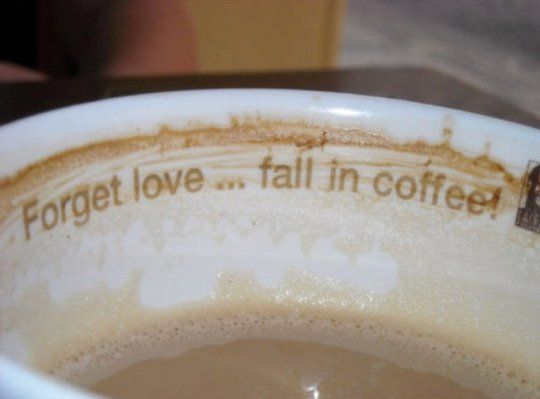 a coffee cup with the words forget love fall in coffee