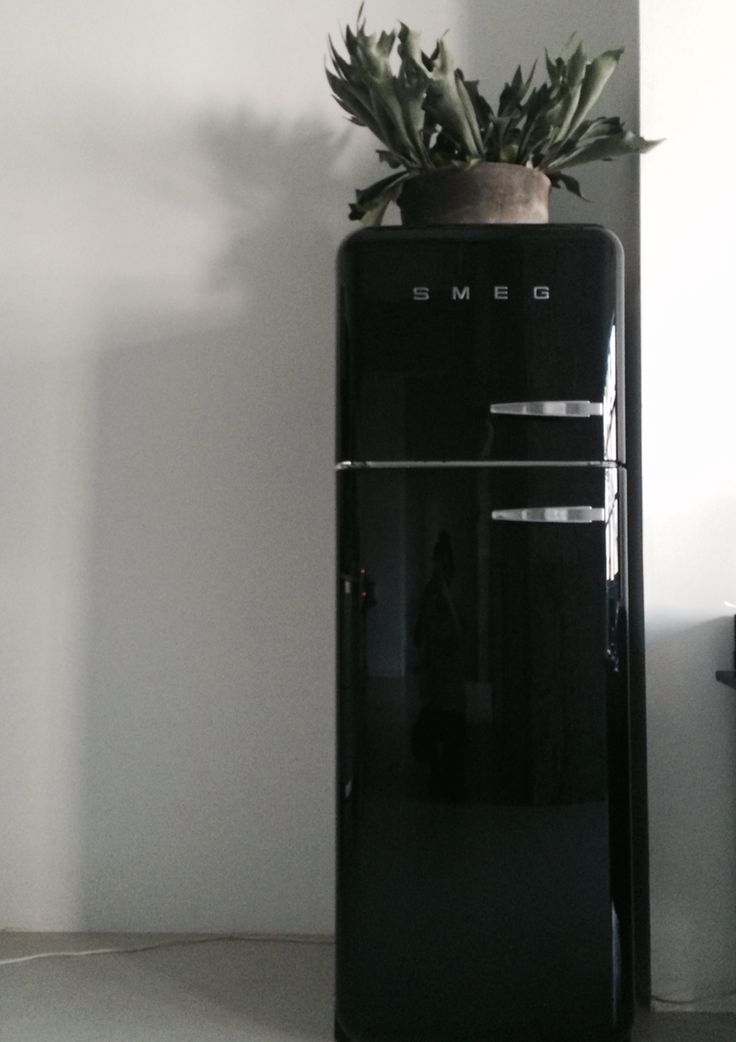 a black refrigerator with a potted plant sitting on it's top and bottom