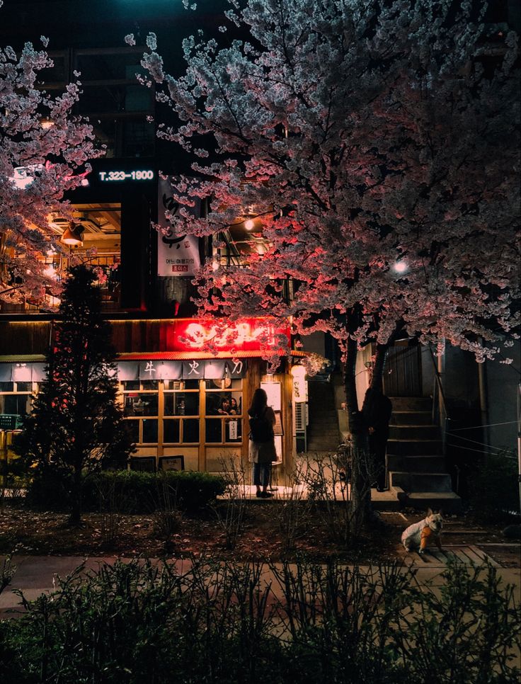 a person standing in front of a building at night with cherry blossoms on the trees