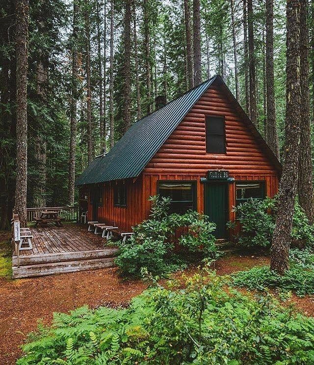 a cabin in the woods surrounded by trees