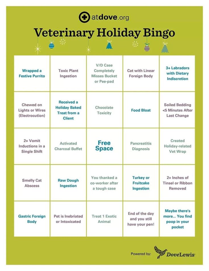 a printable veterinary holiday bingo game