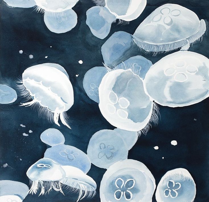 Aurelia Aurita Jellyfishes Poster Print by Atelier B Art Studio-VARPDXBEGANI406 Image 1 Cute Printouts For Wall, Wall Prints Decor, Jellyfish Collage Art, Blue Themed Posters, Blue Room Prints, Ocean Posters Aesthetic, Cute Aesthetic Posters, Blue Poster Prints, Blue Green Poster