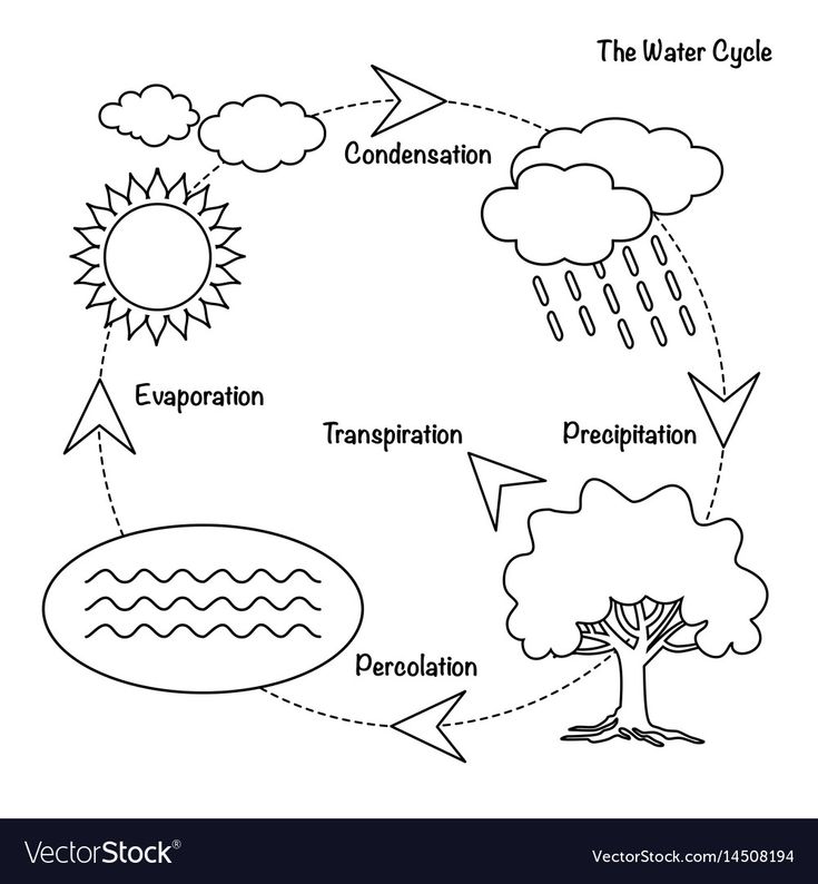 the water cycle worksheet for kids to learn how to draw and paint it