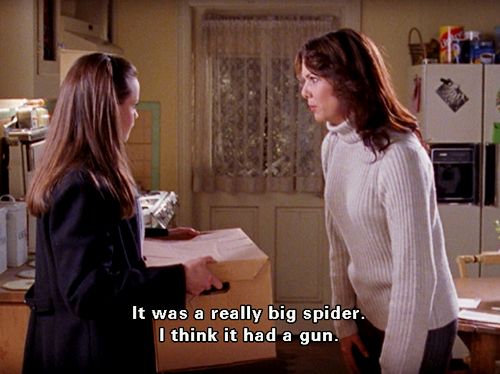 And you filmed me killing it haha Gilmore Girls Quotes Funny, Gilmore Girls Funny, Haley Lu Richardson, Big Spiders, Gilmore Girls Quotes, Team Logan, Lorelai Gilmore, Rory Gilmore, Funny Love