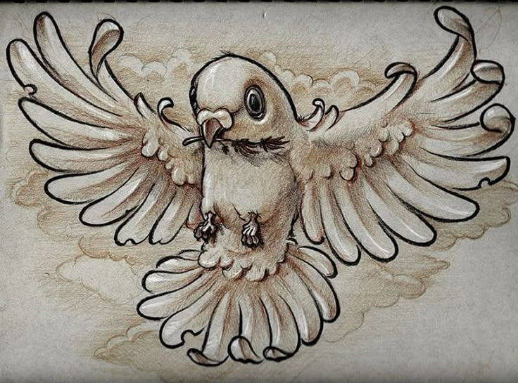 a drawing of a bird with its wings spread