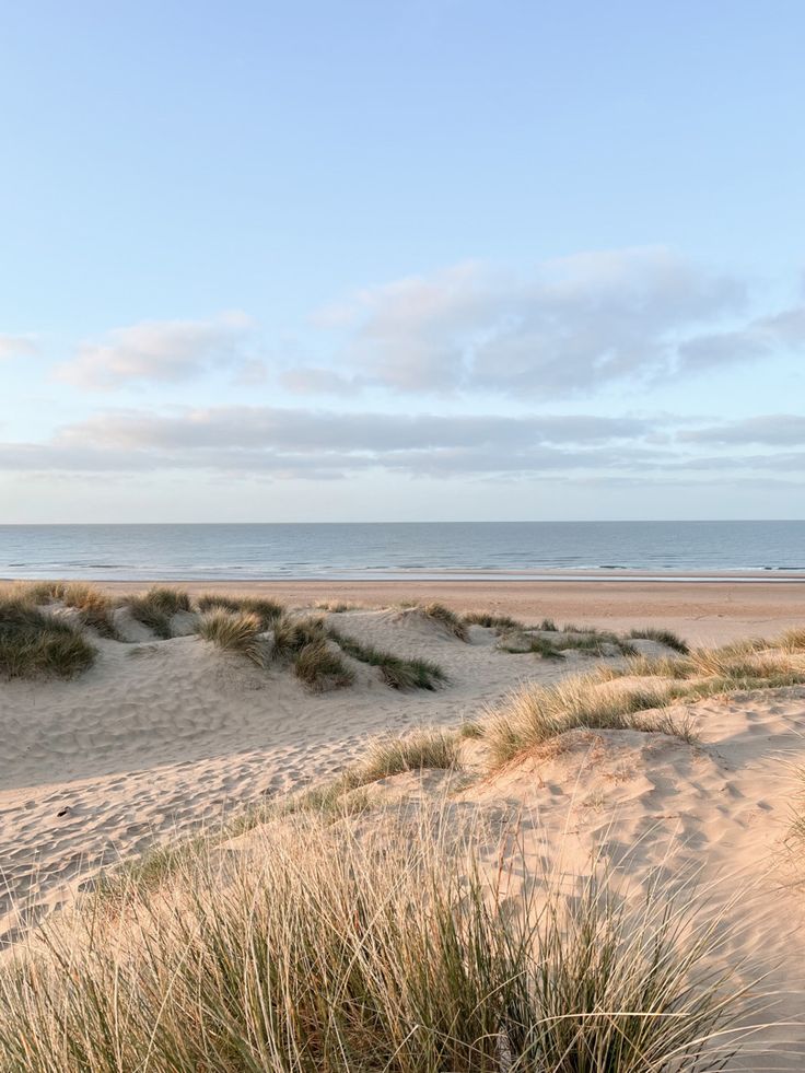 an empty beach with grass and sand dunes