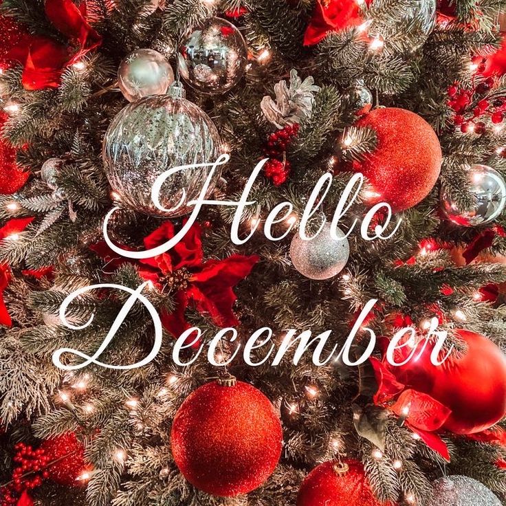 a christmas tree with red ornaments and the words hello december on it's side