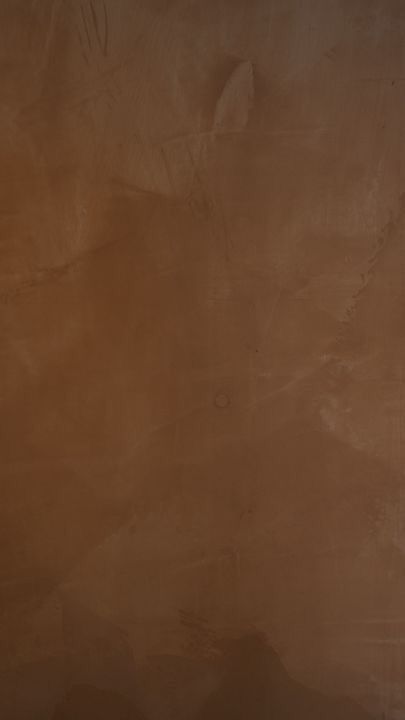 a man holding a tennis racquet on top of a tennis court in front of a brown wall