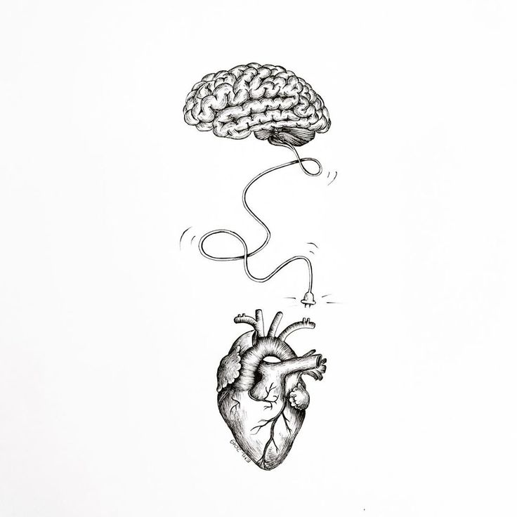 a drawing of a human heart hooked up to a cord with a brain in the background