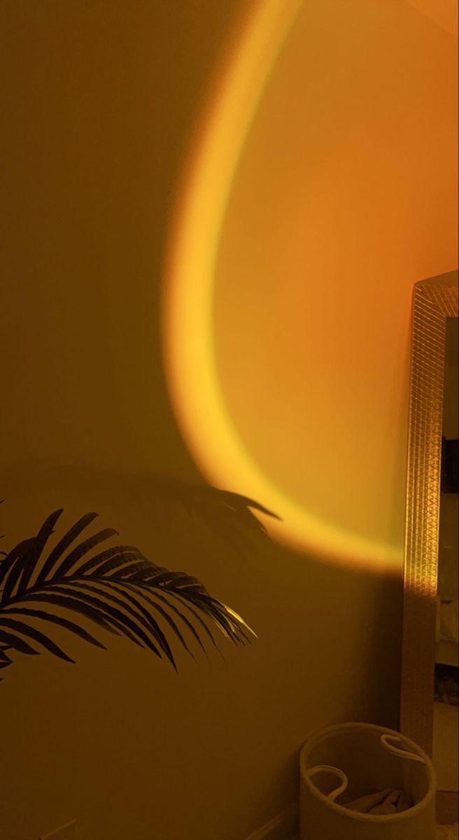 a palm tree casts a shadow on the wall next to a heater and fan