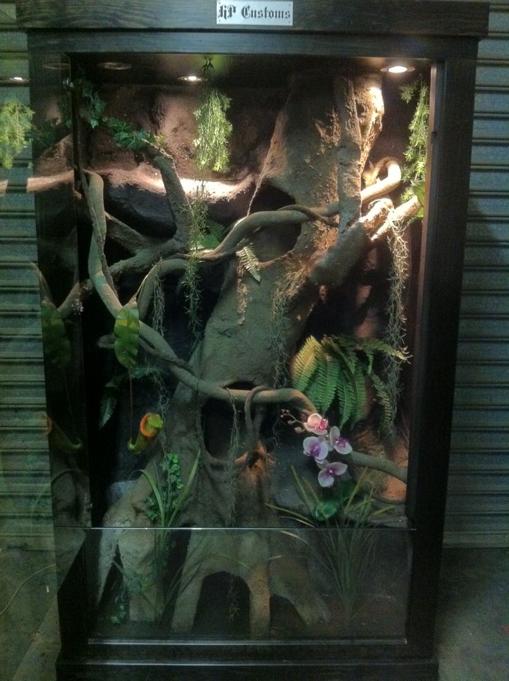 a display case with plants and rocks in it