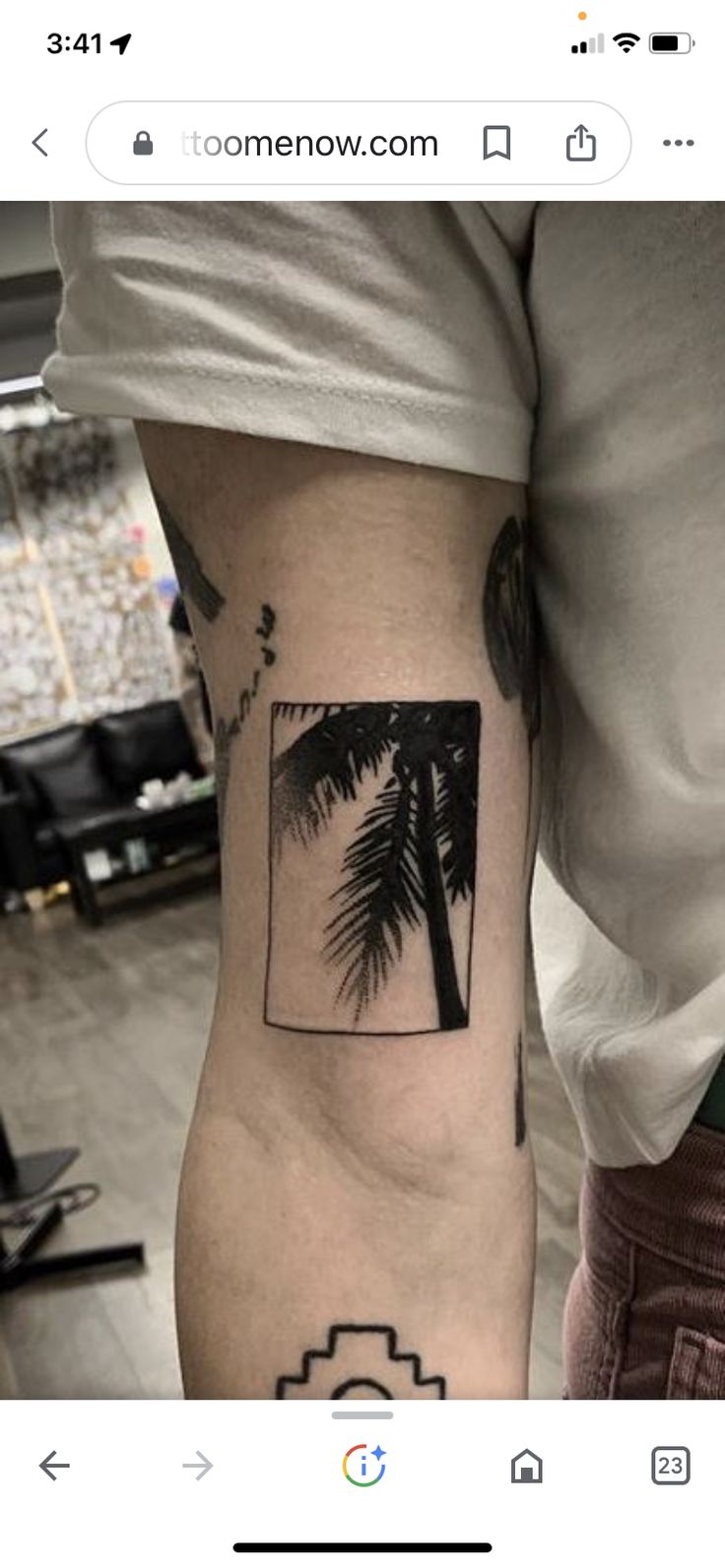 a person with a small palm tree tattoo on their left arm, and an instagramr