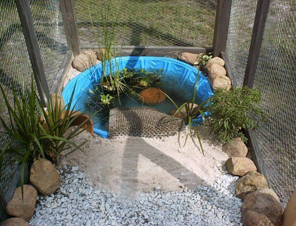 there is a small pool in the middle of rocks and gravel with plants growing out of it