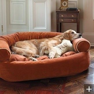 a large brown dog laying on top of a bed in a living room next to a window