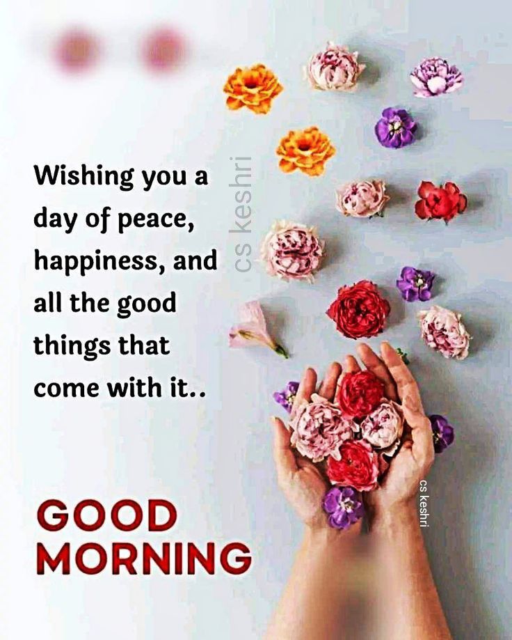 Morning Massage, Good Morning Massage, Good Morning Dear Friend, Good Morning Love Gif, Positive Good Morning Quotes, Good Morning Sweetheart Quotes, Good Morning Happy Sunday, Good Morning Sunshine Quotes, Happy Morning Quotes