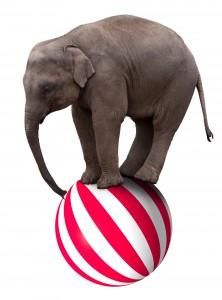 an elephant standing on top of a red and white ball