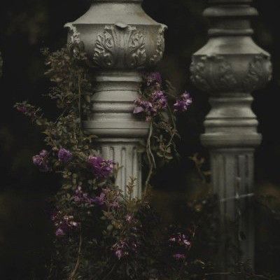 two cement pillars with purple flowers growing on the top, and one in between them