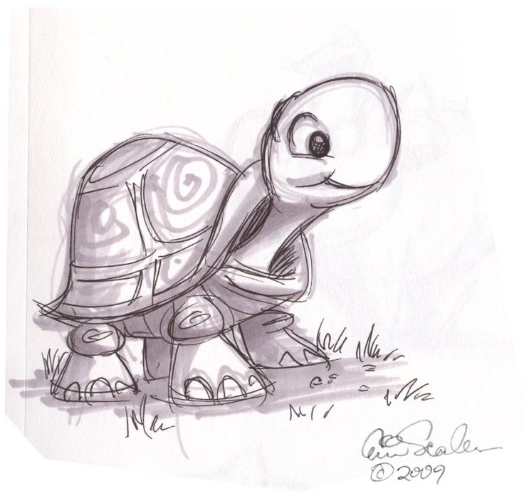 a drawing of a tortoise with the caption'i have never seen one tortoise before '