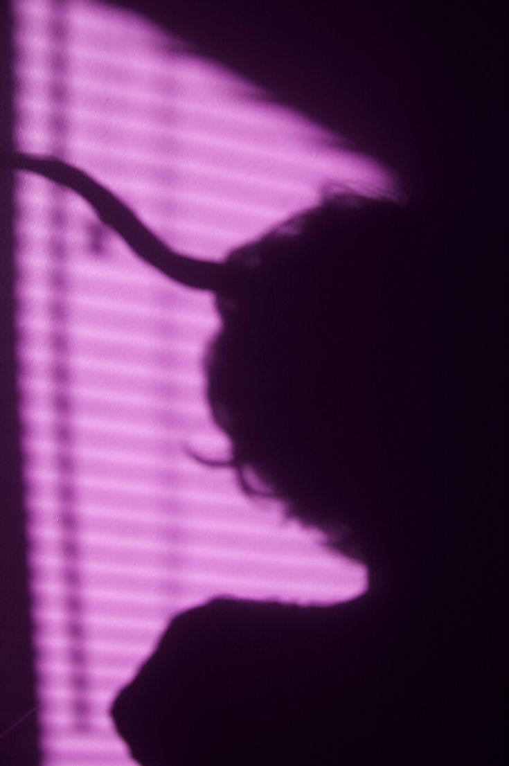 the shadow of a woman's head on a wall with blinds in the background