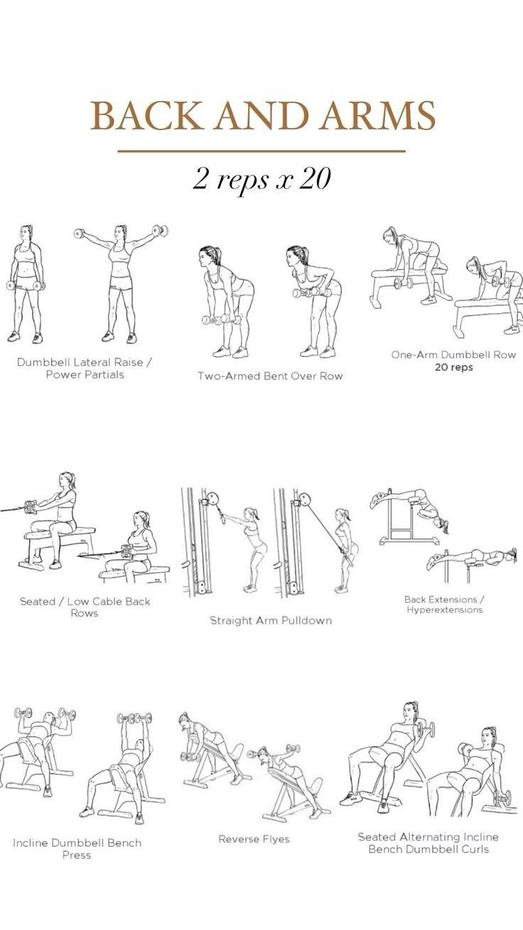 the back and arms exercise manual