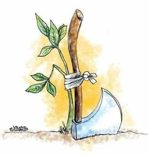 a drawing of a plant in a watering can