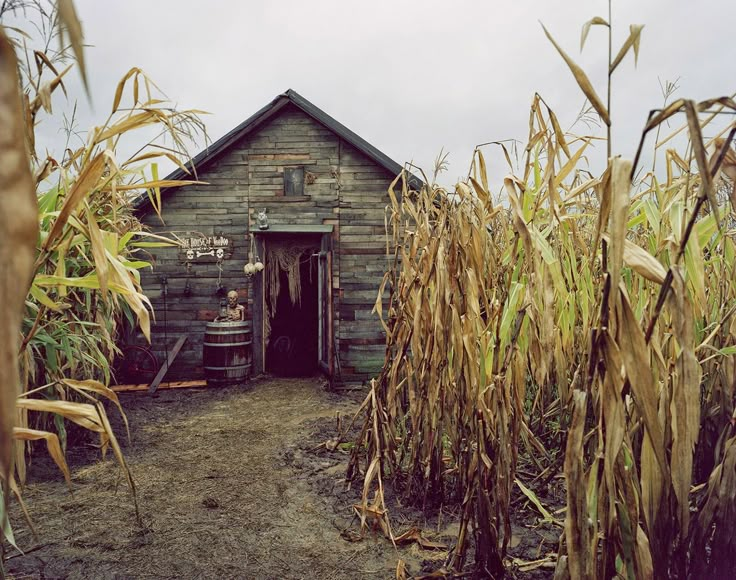 an old building in the middle of a corn field