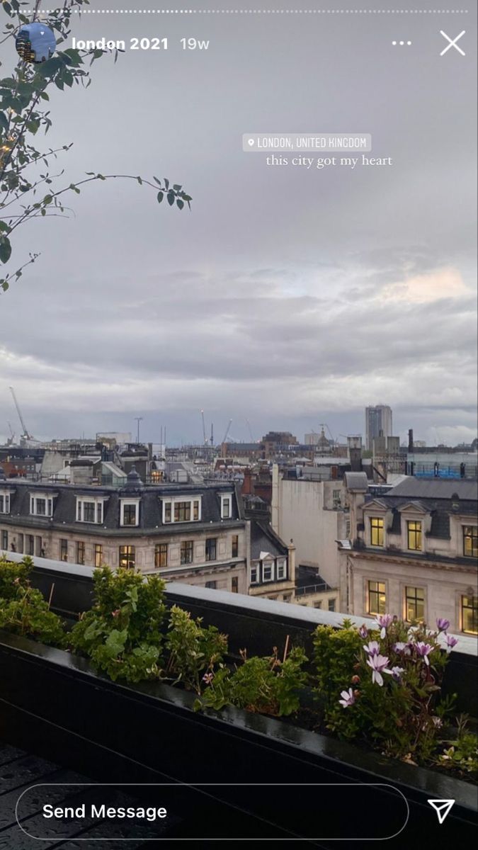 the view from an apartment building with lots of windows and plants growing out of it