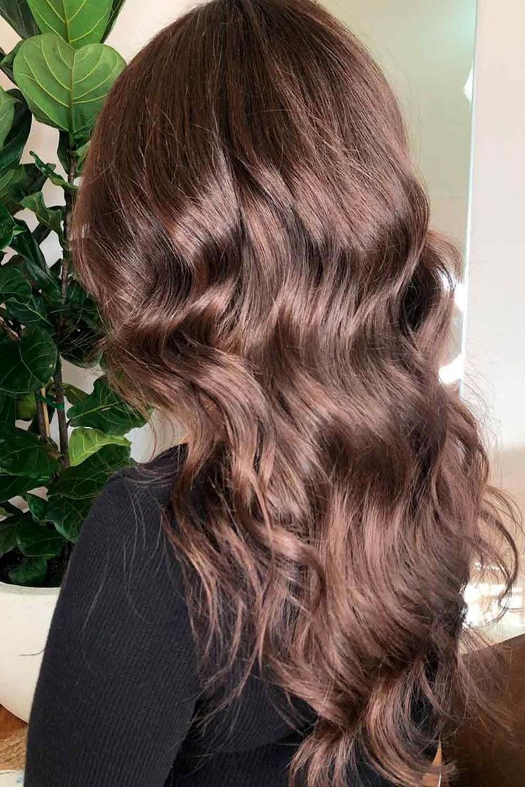 Medium Chestnut Brown Pale Tone ❤ Do you know how versatile chestnut hair color is? See how you can sport this color and how it will take the best of your natural brown base! #chestnuthair #lovehairstyles #hair #hairstyles #haircuts Chestnut Ash Brown, Soft Chestnut Brown Hair, Rich Hazelnut Hair Color, Cool Chestnut Hair Color, Medium Chestnut Brown Hair, Chesnutt Hair Color, Brown Hair Color With Highlights, Chestnut Brown Hair Color, Brown Hair Color With Blonde Highlights