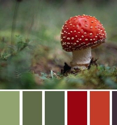 a red mushroom sitting on top of a forest floor next to green grass and trees