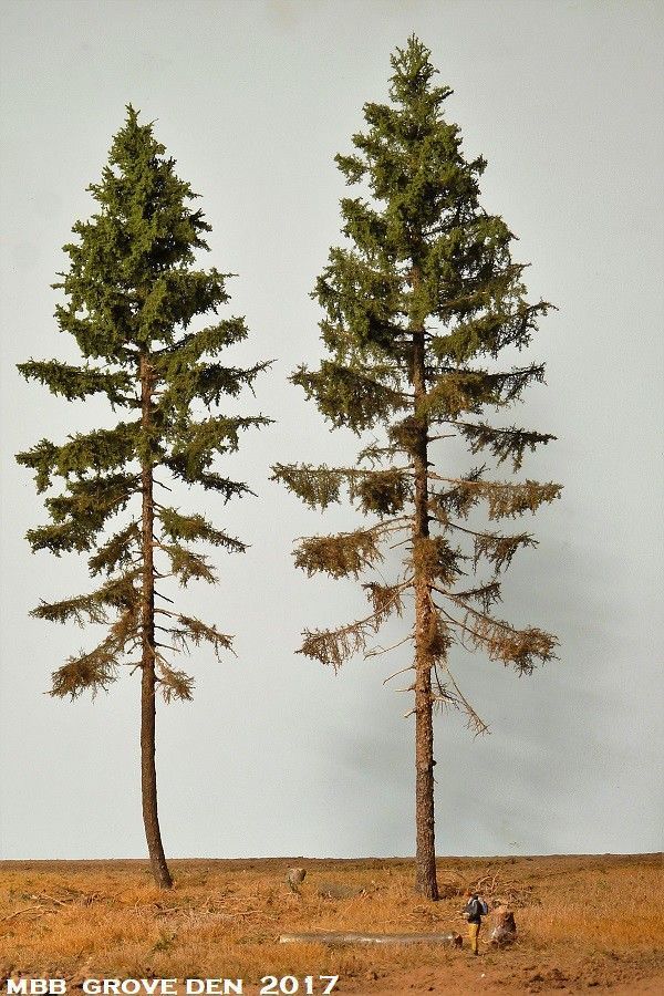 three tall pine trees standing in the middle of a field