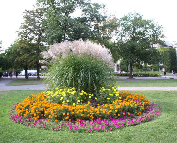 a flower bed in the middle of a park