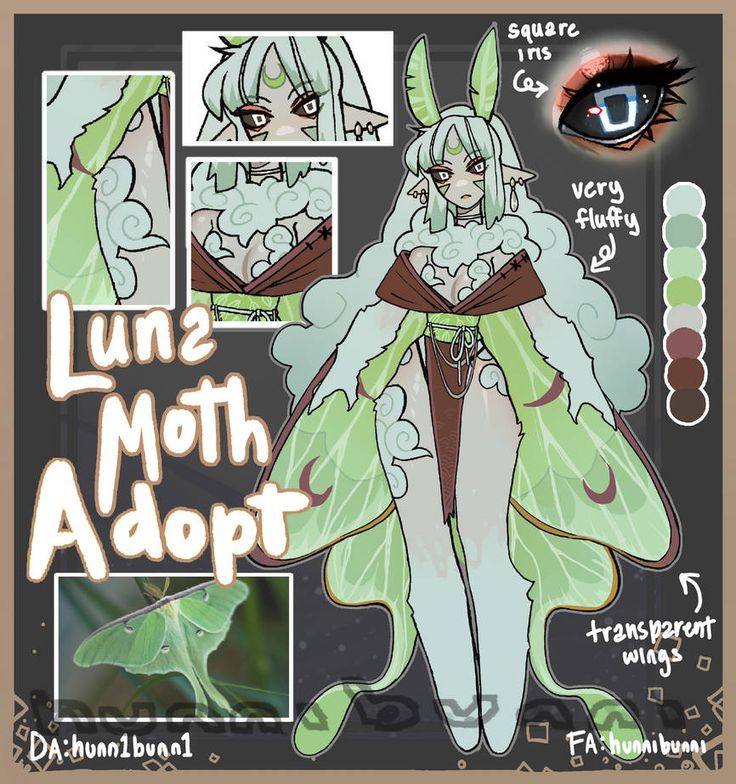 the character sheet for luna's moth adopt