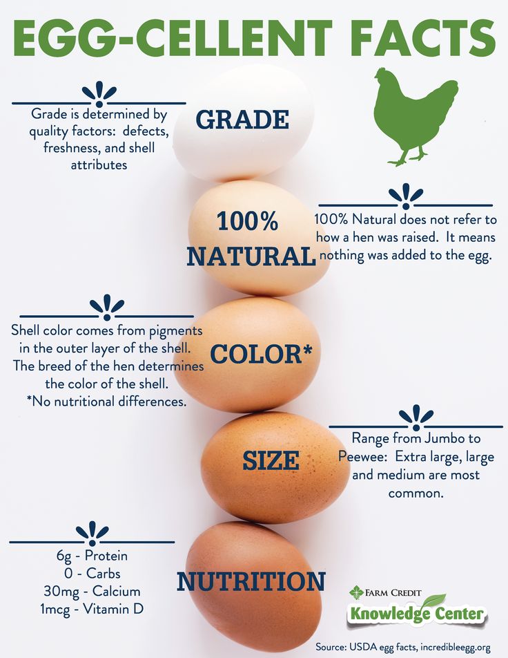 eggs are stacked on top of each other with the words egg - cellent fact