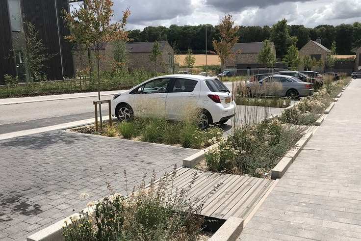 a car parked on the side of a road next to some plants and bushes in front of a building