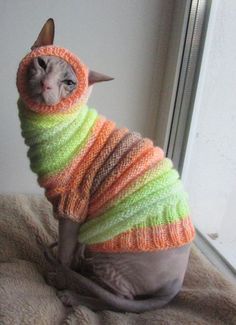 a cat in a sweater sitting on top of a bed