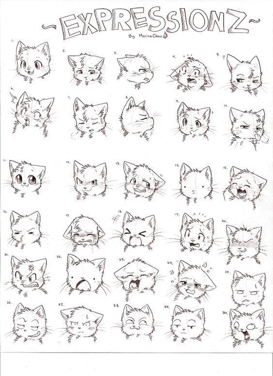 an image of expressions drawn in pencil on paper with the words expressionz written below