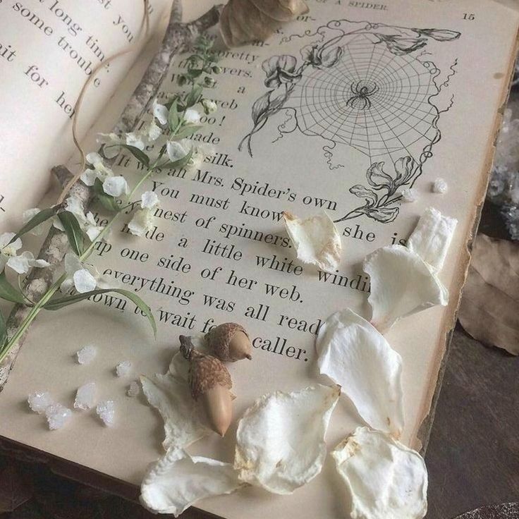 an open book with shells and flowers on it