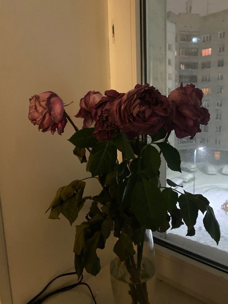 a vase filled with purple flowers next to a window