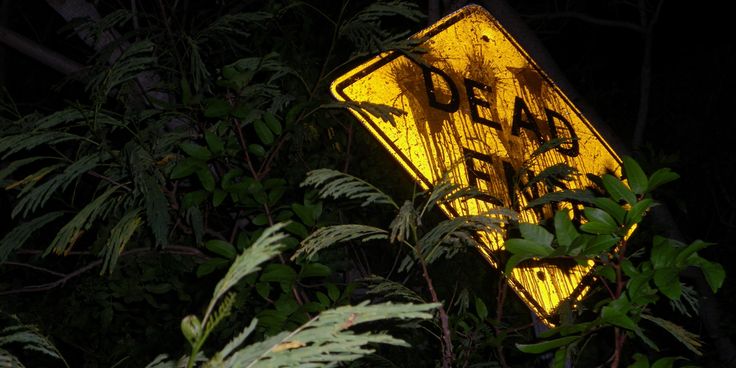 a yellow dead end sign sitting in the middle of some bushes and trees at night