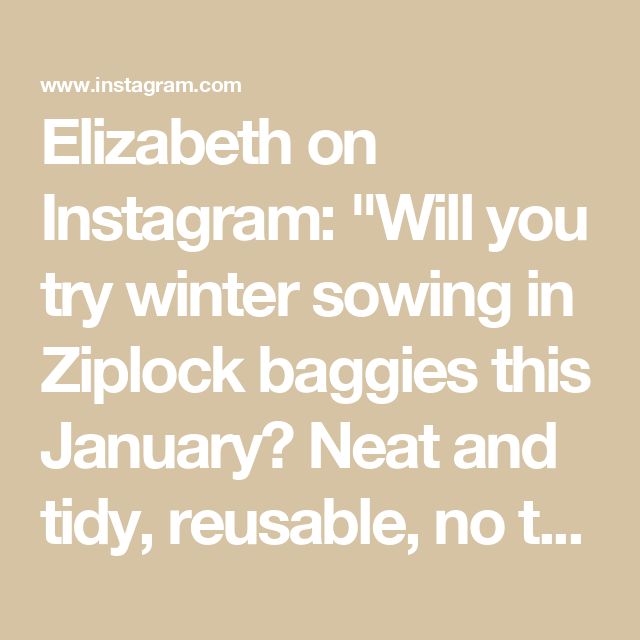 Elizabeth on Instagram: "Will you try winter sowing in Ziplock baggies this January? 
Neat and tidy, reusable, no tape, easy storage from season to season. Begin in January zones 3 - 9.  Snow, Freezing temps and Ice are perfect conditions! Don’t believe me? Try it from the seeds below. The bags are reusable. #wintersowing #wintergardening #seedstarting #flowerseeds #perennialseeds #seedlings #wintersowinginziplockbaggies @wintersowing for a partial list of seeds that can be wintersown (January to March)
Hardy Annuals
Calendula
Celosia
Cleome
Cosmos
Datura
Lavatera
Marigold
Morning Glory
Petunia 
Snapdragon 
Sunflower 

Hardy Perennials 
Aubrietta 
Bachelor’s buttons
Bells of Ireland 
Bee Balm
Black eyed Susan
Butterfly weed
Canterbury Bells
Cone flower
Coreopsis 
Dara
Delphinium 
Feverfew Hardy Annuals, Canterbury Bells, Winter Sowing, Seed Planting, Bells Of Ireland, Bee Balm, Hardy Perennials, Black Eyed Susan, Black Eyed