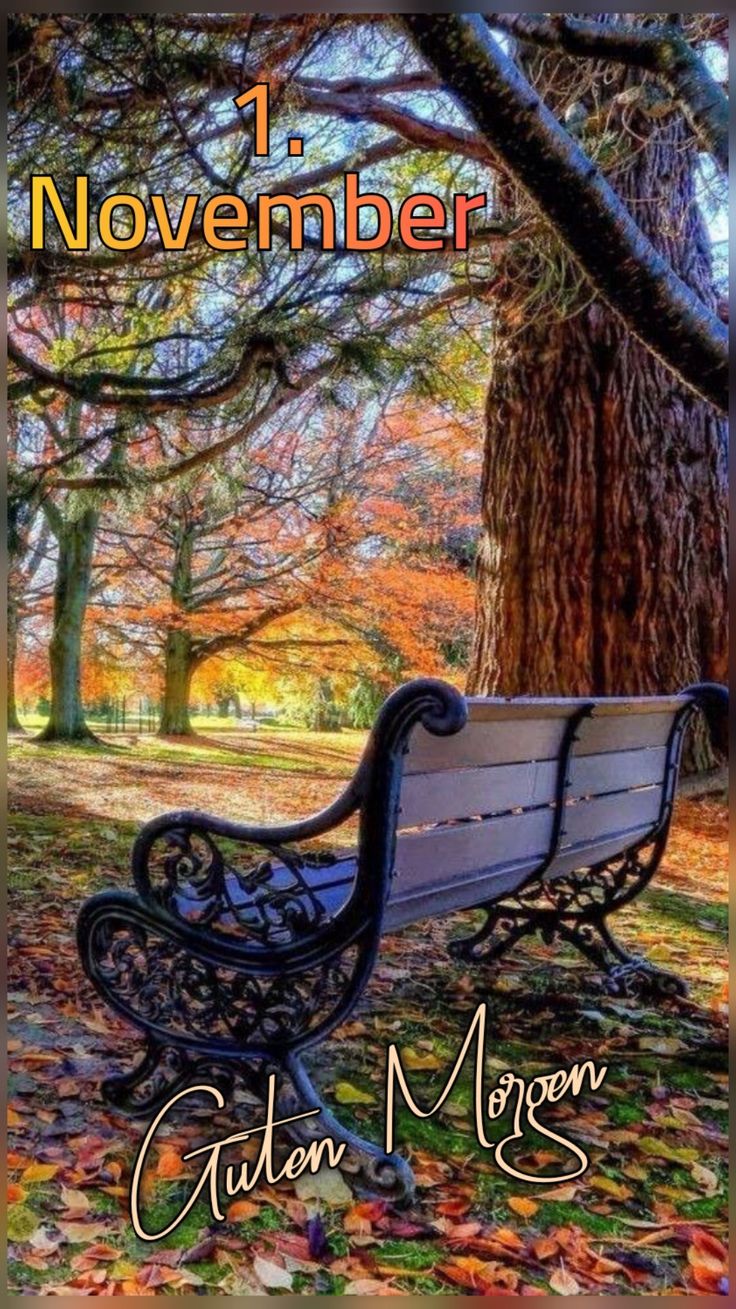 a bench sitting next to a tree on top of a leaf covered ground with the words november