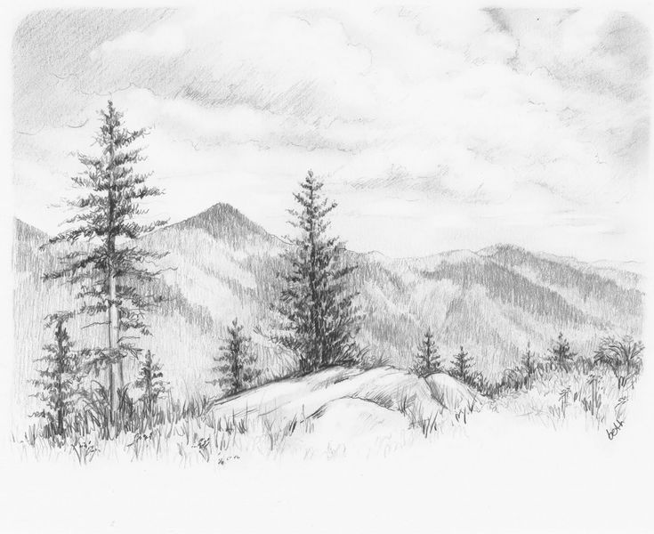 a pencil drawing of mountains and trees